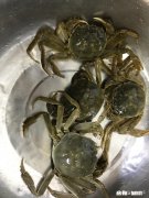 你的工作是“挑水”还是在“挖井”