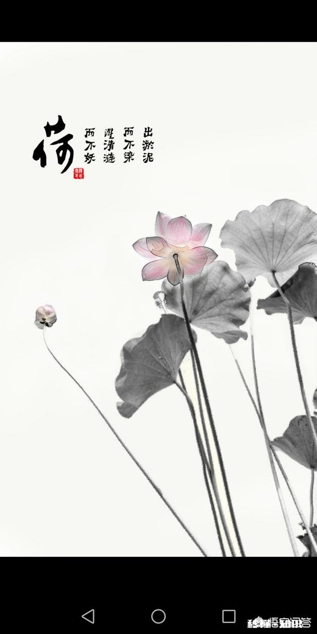 摄影干货丨如何在室外拍出梦幻水彩风