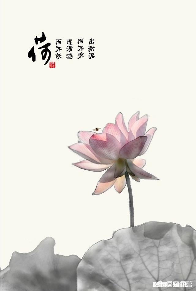 摄影干货丨如何在室外拍出梦幻水彩风