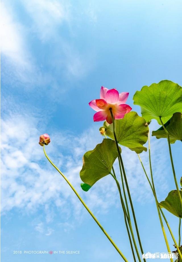 摄影干货丨如何在室外拍出梦幻水彩风