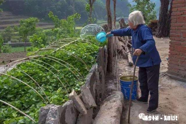 为什么父母把子女的小孩带大后，不愿意继续住在一起
