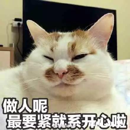 鹿晗和关晓彤算不算兄妹恋呢