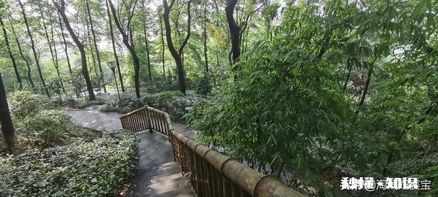 企业待遇无法提升，发展空间渺茫，该如何选择