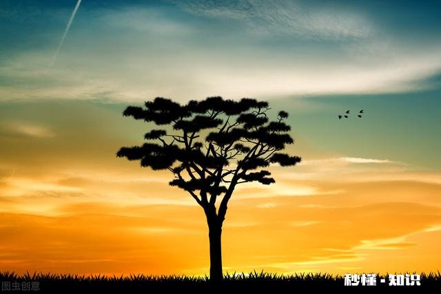 人不可能超脱红尘，那么心可以吗