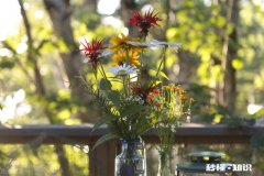 人不可能超脱红尘，那么心可以吗