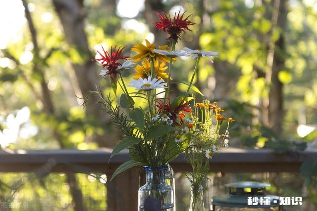 人不可能超脱红尘，那么心可以吗