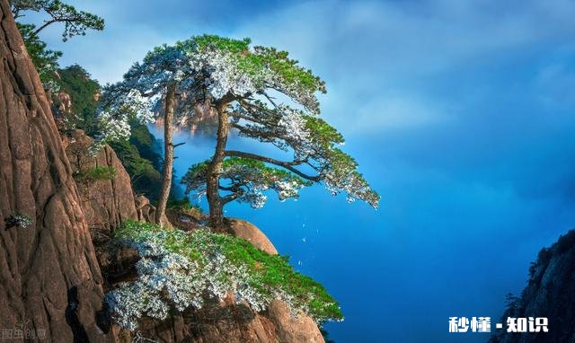 人不可能超脱红尘，那么心可以吗