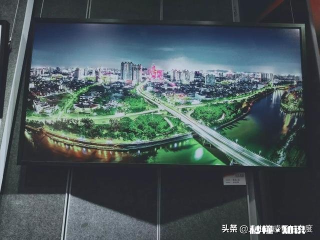 怎样才能让不爱学习的我学习