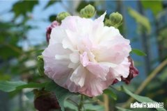 为什么有些女生长得不好看却喜欢用美颜拍照后发朋友圈