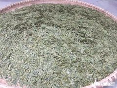 茶叶的价格水分有多大怎样买到性价比高的茶叶