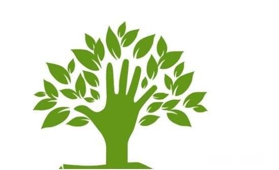 学校环境影响学习成绩吗