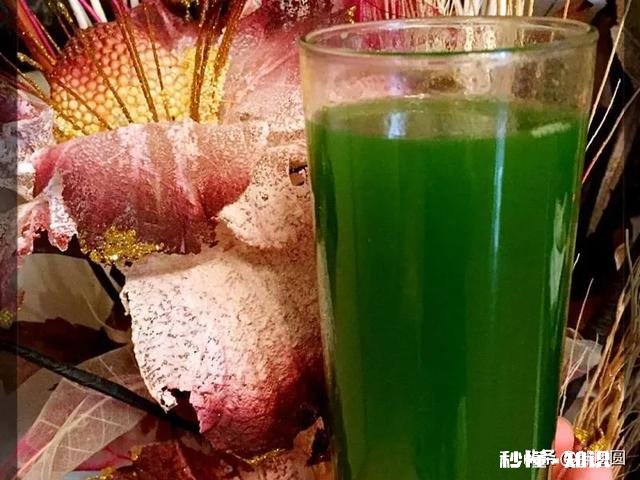 麦苗的根部怎么吃，有哪些吃法