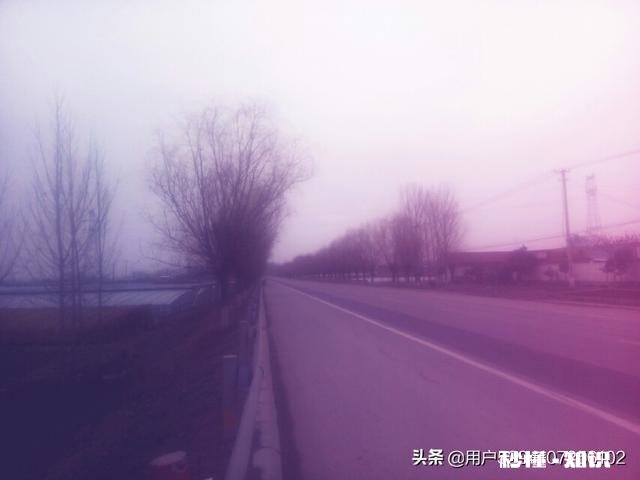 如何拍摄“草树知春不久归,百般红紫斗芳菲”的意境