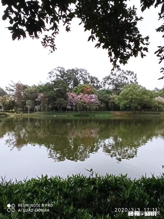 如何拍摄“草树知春不久归,百般红紫斗芳菲”的意境