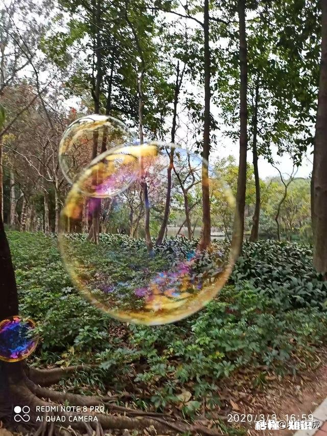 如何拍摄“草树知春不久归,百般红紫斗芳菲”的意境