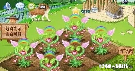 QQ是80后一代的记忆，说说你们以前的使用趣事可以吗