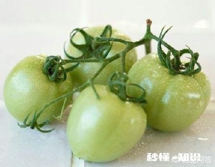 青西红柿能吃吗会不会对身体有害，有哪些营养价值