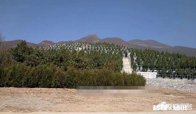 清明之际你有新词旧赋吗