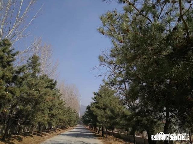 清明之际你有新词旧赋吗