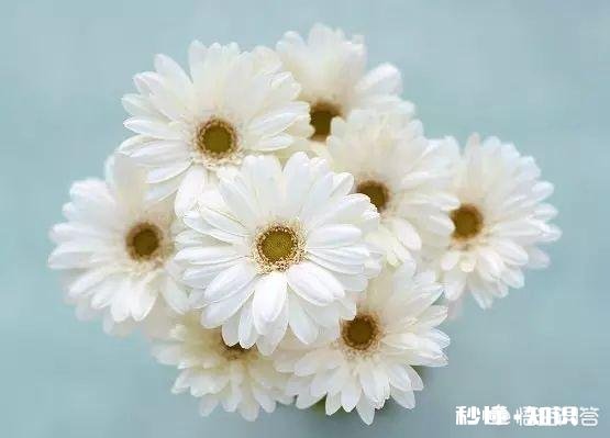 清明之际你有新词旧赋吗