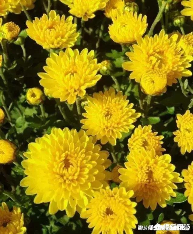 清明之际你有新词旧赋吗