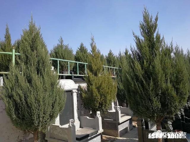 清明之际你有新词旧赋吗