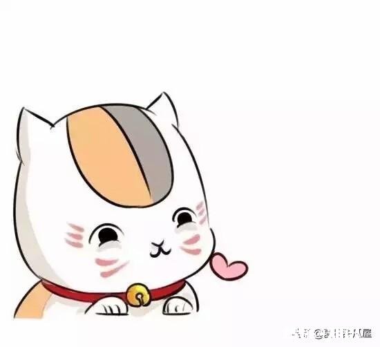 你爱的那个人总会伤您的心，你还会去坚持爱他吗