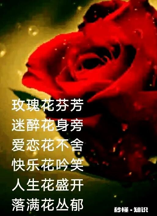 答一个题用一两个小时，内容原创有配图，可还是没推荐怎么办