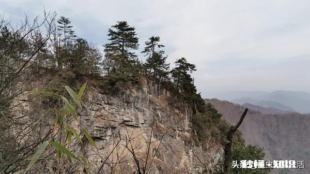 混凝土搅拌车一年收入多少