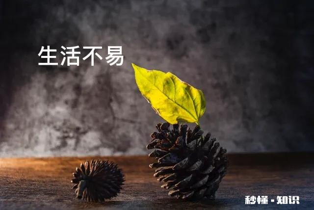 疫情反反复复店子生意不好，人都快抑郁了可能像我这样的人不少吧