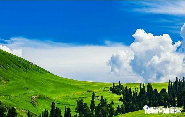 几乎天天做梦,并且经常做噩梦,怎么办