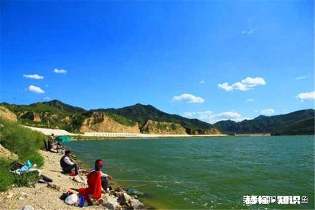 冬季钓鲫鱼钓活水好还是死水好