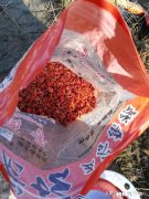 冬季钓鲫鱼钓活水好还是死水好