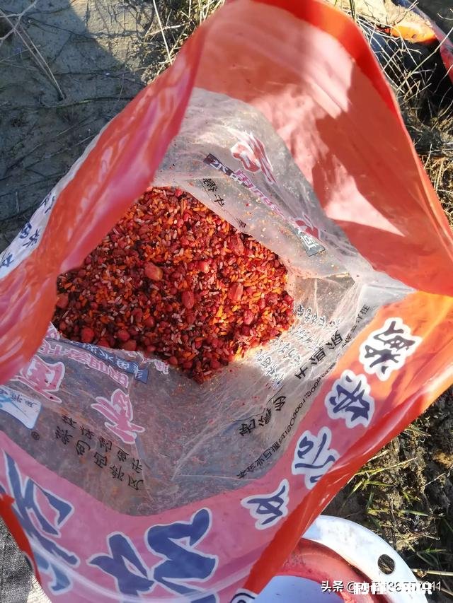 冬季钓鲫鱼钓活水好还是死水好