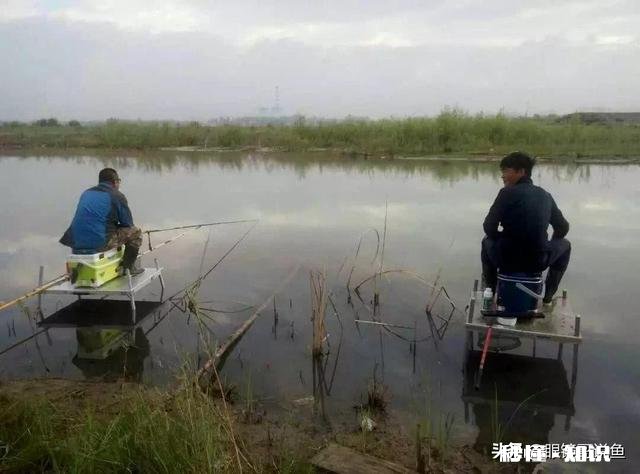 冬季钓鲫鱼钓活水好还是死水好