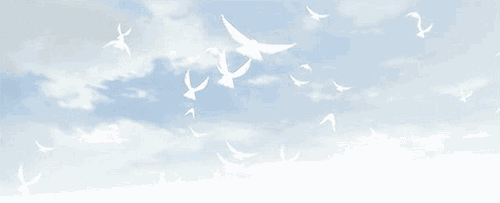 喜欢旅行的朋友，晒晒你在旅行途中遇到了哪些奇葩趣事