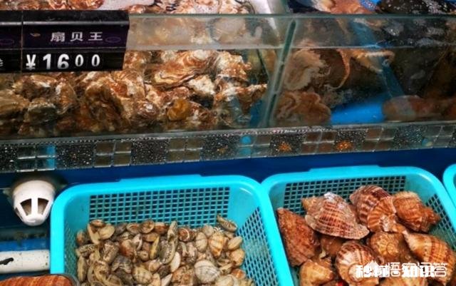 在连云港去哪些地方吃海鲜比较划算哪些浴场比较不错