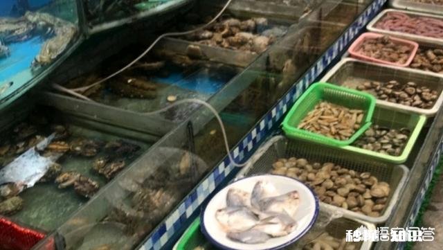 在连云港去哪些地方吃海鲜比较划算哪些浴场比较不错