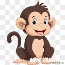 形容一个人精明，为什么说比猴还精，难道猴真的比人精吗