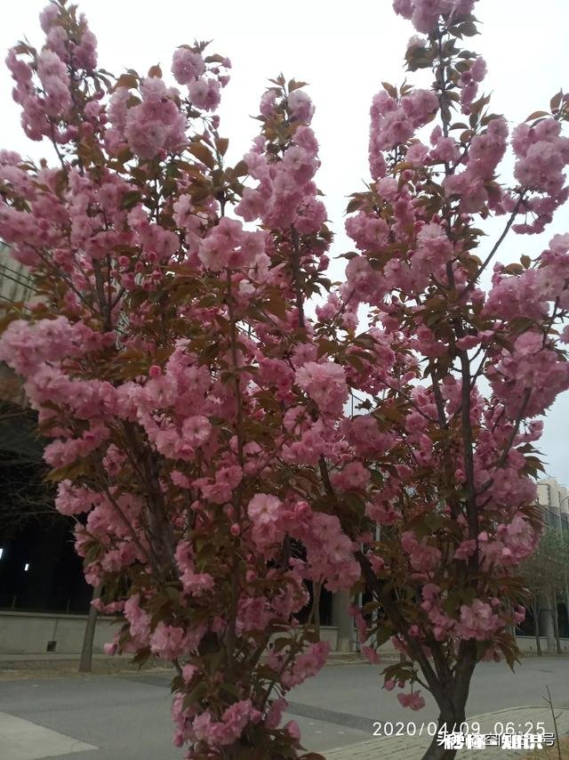 你如何看待春天来了万物复苏