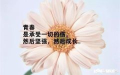 家有爱你的伴侣，是选择3000元/月的本地工作还是2万/月常驻外地的工作