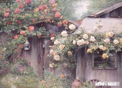 你觉的成人的世界容易吗