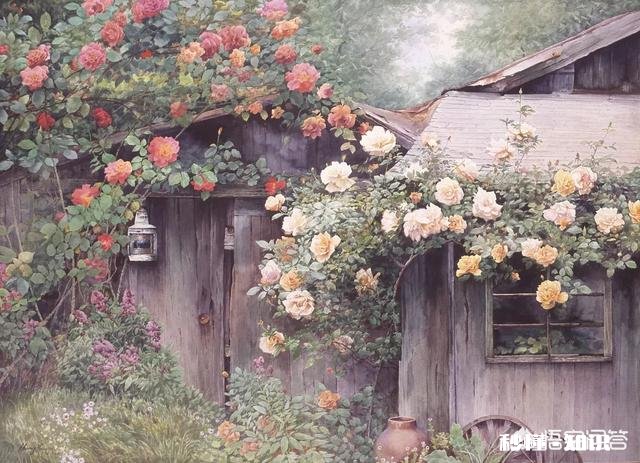 你觉的成人的世界容易吗