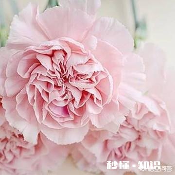 你觉的成人的世界容易吗