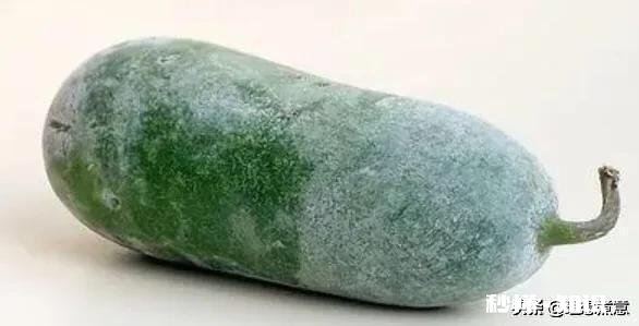 冬瓜炖排骨的制作方法是什么