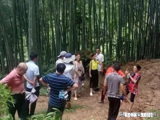 无论是追求阶段还是谈恋爱阶段所有的花销都必须是男生承担吗