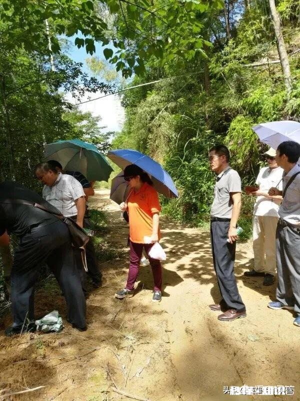 无论是追求阶段还是谈恋爱阶段所有的花销都必须是男生承担吗