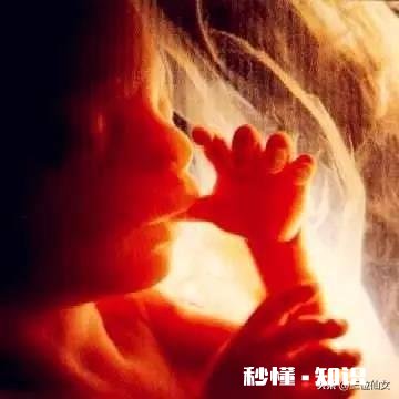 一岁小孩的手可以放老人嘴里吗放完再吃手