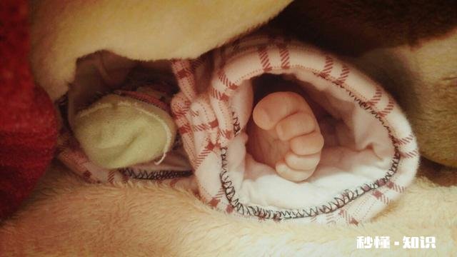 刚出生的宝宝不给穿袜子可以吗