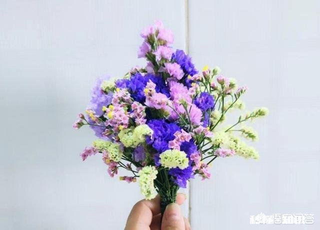 喜欢吓人的人是什么心理